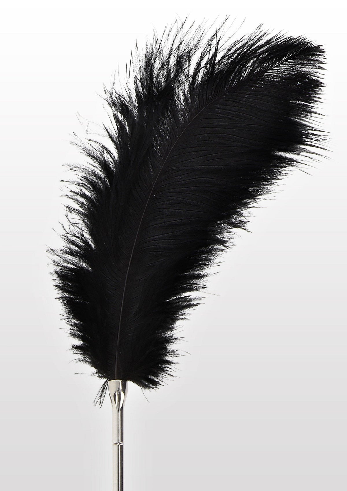Feather Tickler nero